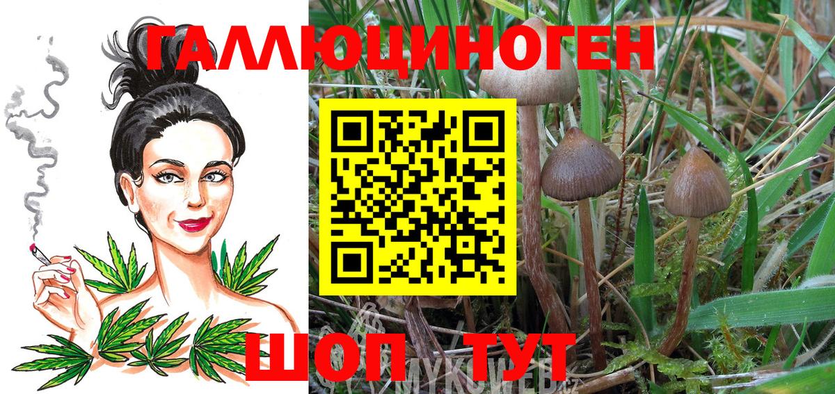 Галлюциногенные грибы GOLDEN TEACHER Красный Сулин